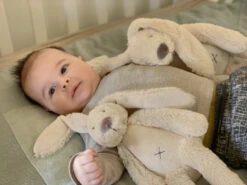 Happy Horse Rabbit Richie Beige 28 Cm No. 1 Knuffel 133264 -Mama loes beige rabbit richie sfeerfoto