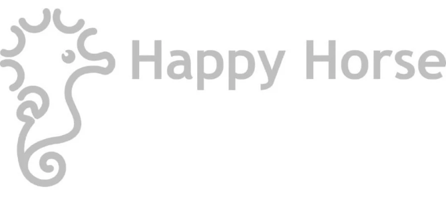 Happy Horse Dino Don 36 Cm Knuffel 132860 4 Happy Horse Dino Don 36 Cm Knuffel 132860 - Afbeelding 2