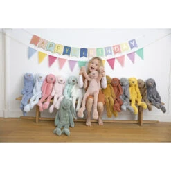 Happy Horse Rabbit Richie Groen 28 Cm No. 1 Knuffel 133114 -Mama loes rabbit richie 1